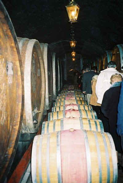 traipsing past the recently filled red wine barriques