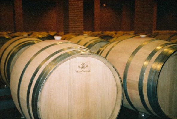 Vega Sicilia Barrels at Valbuena (photo copyright Andrew Stevenson)