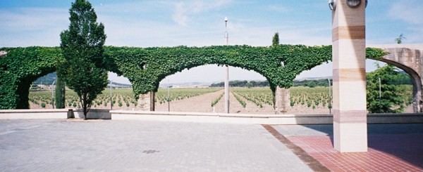 Vineyards and the bottle store at Valbuena (photo copyright Andrew Stevenson)